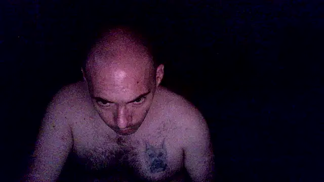 spartan24cm webcam