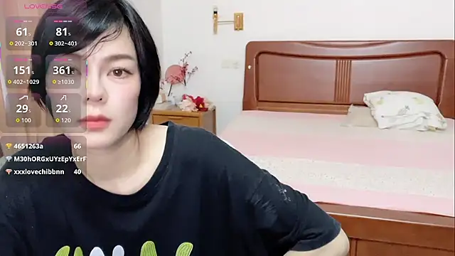 Linda-LL webcam