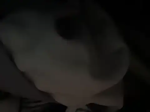 Sexyshygirl webcam