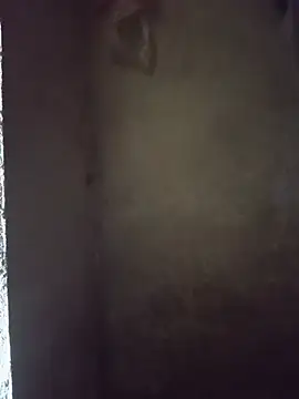 Tieuvy122 webcam