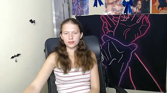 StellaCRL webcam
