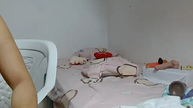 Agatha_browser webcam