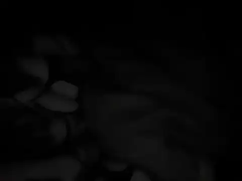 Sexyshygirl webcam