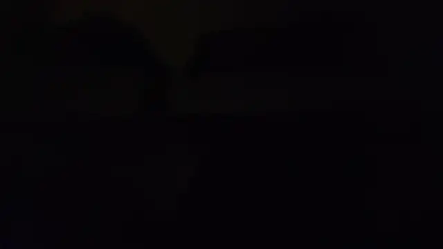 ZeldaSneakyLink webcam