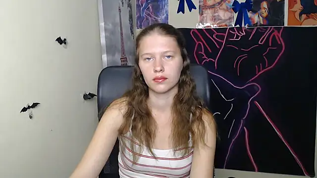 StellaCRL webcam