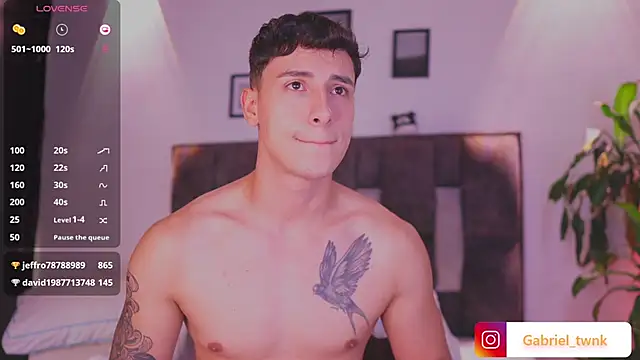 I_Gabriel webcam