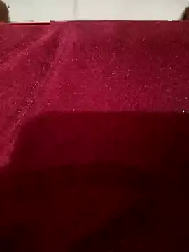 Rk6977 webcam