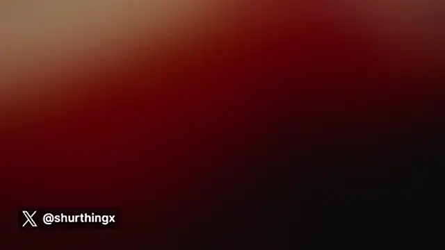 shurthingx webcam