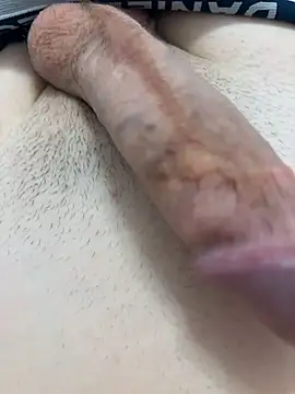 shyboy04 webcam
