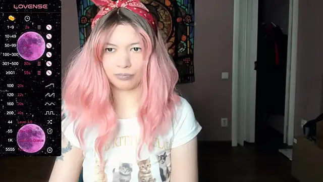 Project_hisoka webcam