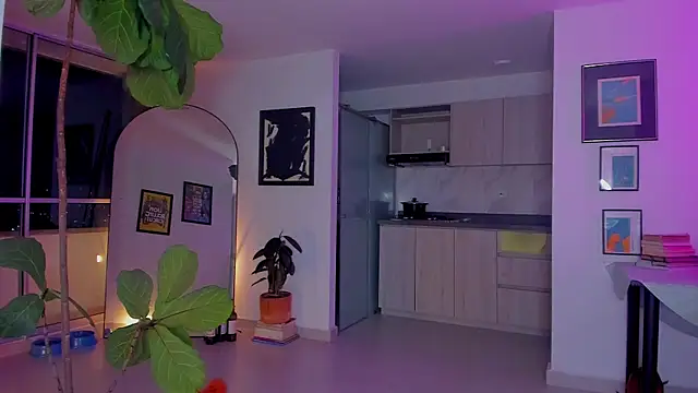 lauhere webcam