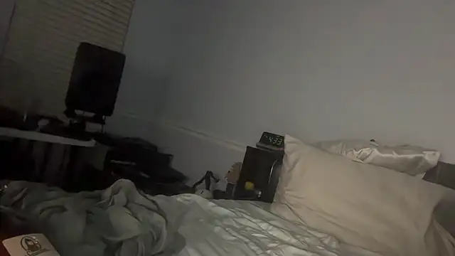 lokii webcam