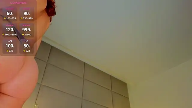 Evvly webcam