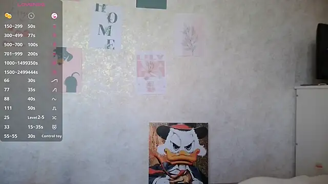 ViviLux webcam