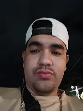 DDQuint2 webcam