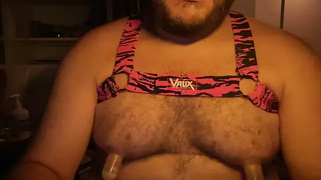 PIGNIPSPUMPER webcam