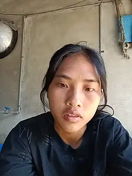 hoa-tuylip