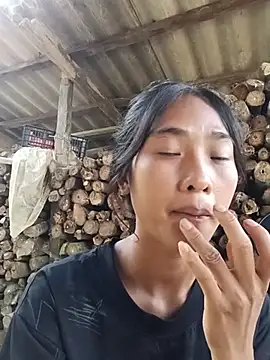 Hoa-tuylip