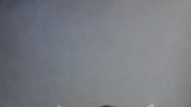 SkinnyKitten webcam