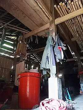 Heli_pusy webcam