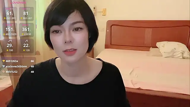 Linda-LL webcam
