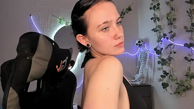 Elastikisss webcam