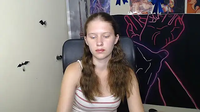 StellaCRL webcam