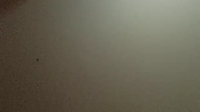 Lovyourpuss webcam