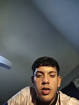 TOLEDIOS webcam