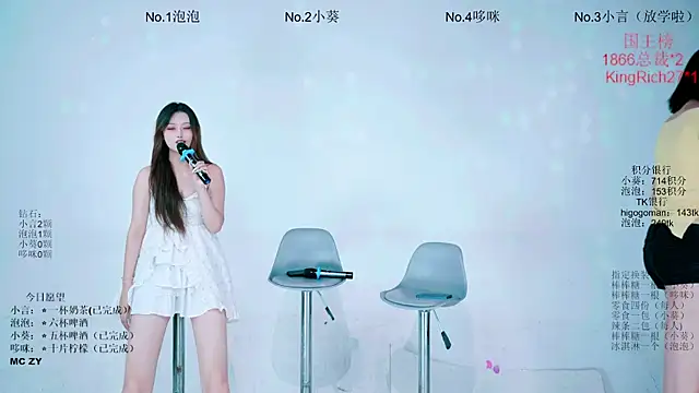 Nd-ING webcam