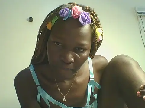 Mimo254 webcam