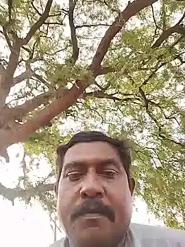 ApposedBearingtamilnadu webcam