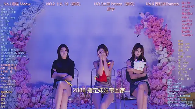 SSF-888 webcam