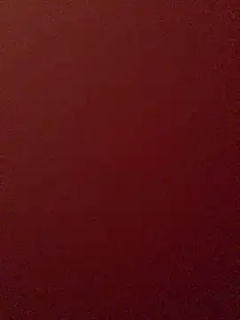 pinkflag webcam
