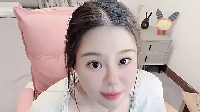 CE-A699 webcam