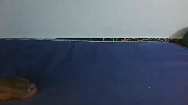 Short-V webcam