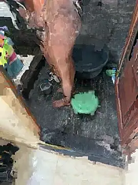 Bold_couple_desi webcam