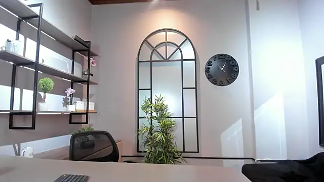 Pierre_Leroy_ webcam