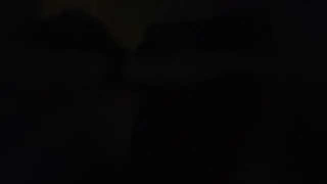 ZeldaSneakyLink webcam