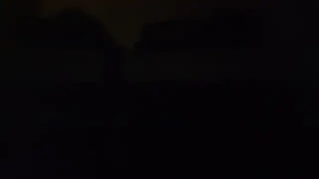 ZeldaSneakyLink webcam