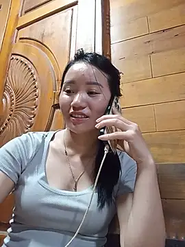 Td3di webcam