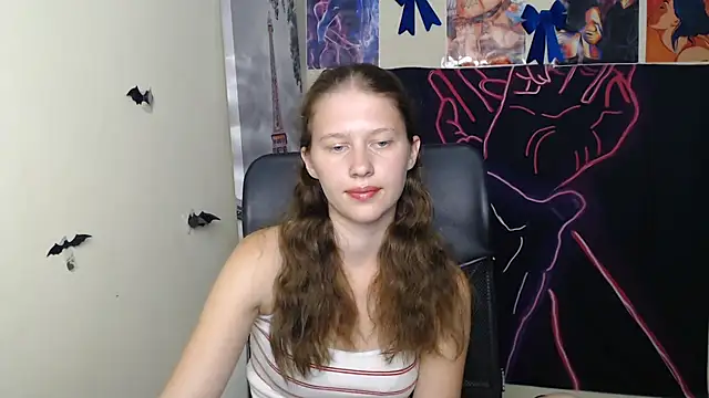 StellaCRL webcam
