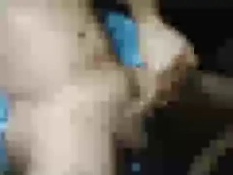 Chavivito webcam