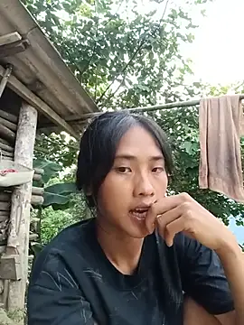 Hoa-tuylip webcam