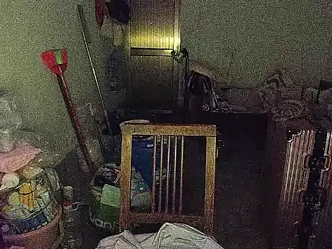 RebelAura webcam