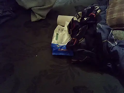Avha1523 webcam