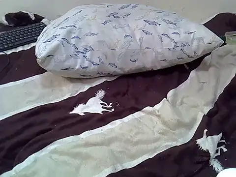 cutiebreey webcam