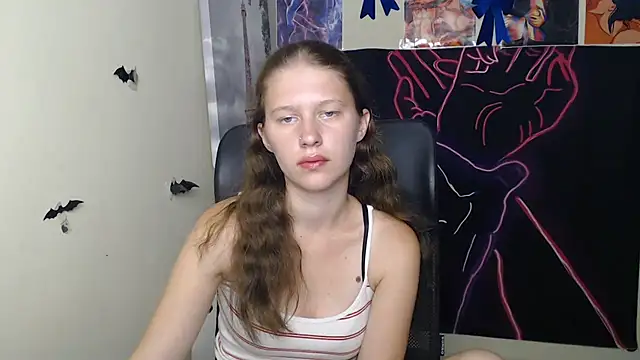 StellaCRL webcam
