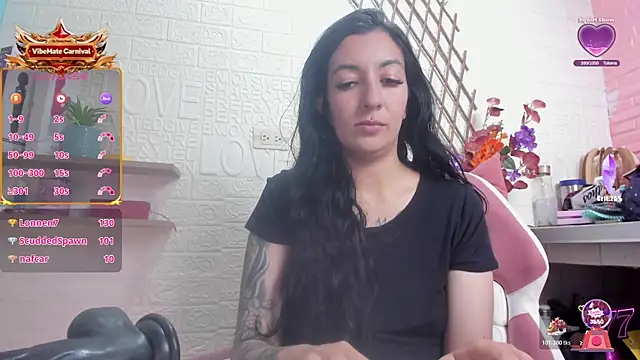 SALOME_KORLAND webcam