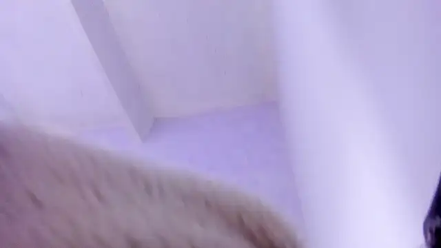 andrea_lopeez webcam